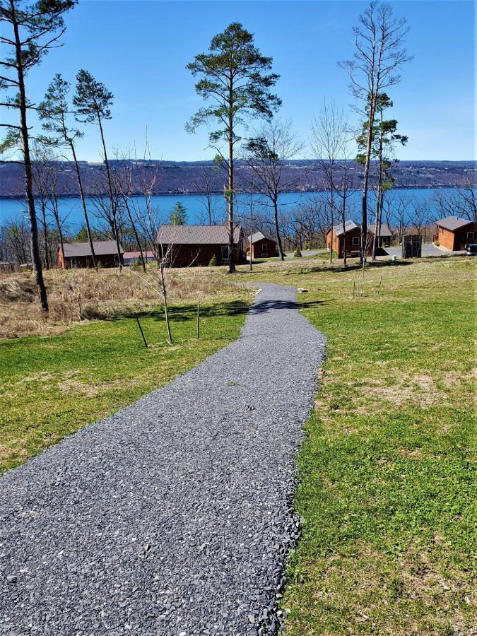 Single Island Shores Hector Exterior foto