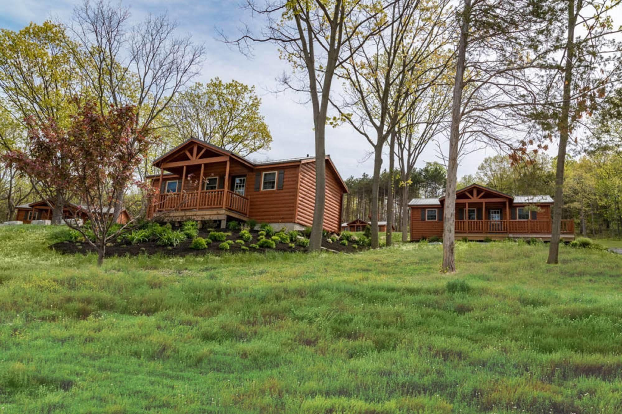 Single Island Shores Hector Exterior foto